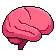 Brain