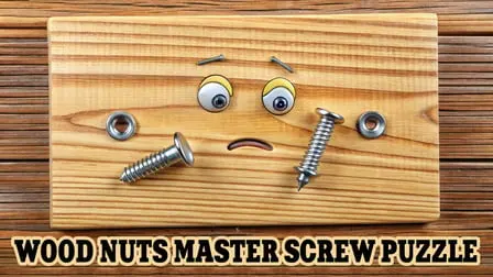 Wood Nuts Master: Screw Puzzle - free online game